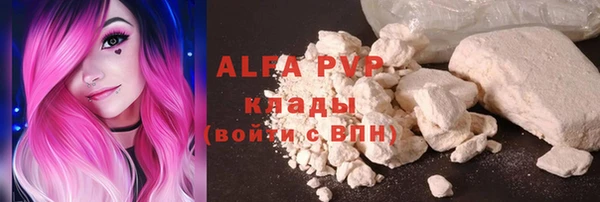 крисы Алексин