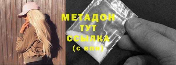 шишки Покачи