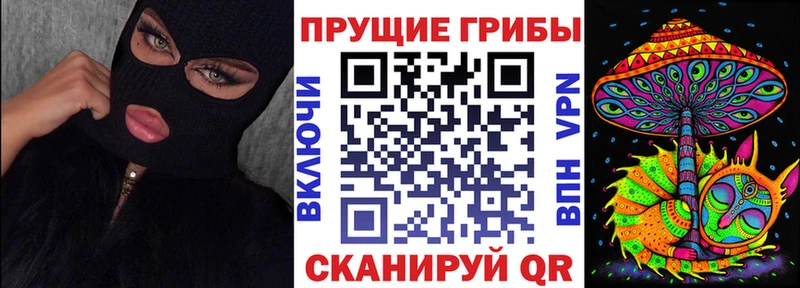 Псилоцибиновые грибы Magic Shrooms  Кяхта 